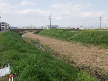 河川堆積土砂浚渫工事 Before